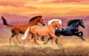 Wild Horse Wallpaper Gallery (74 Plus) PIC WPW409065 - Android / iPhone HD Wallpaper Background Download